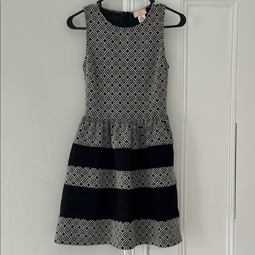 Love...ady Black and White Sleeveless A-Line Dress